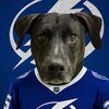 stanleycup04